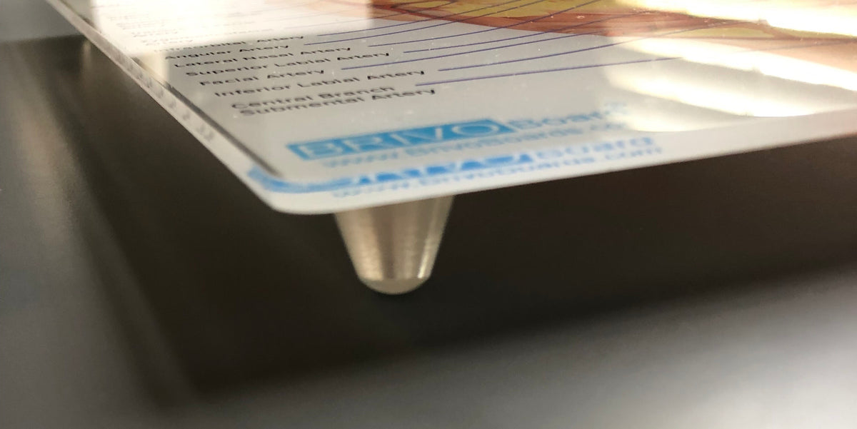 2Pack of Anatomy Brivo Boards (no syringe clips) Aesthetic Practice